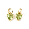 Brass Micro Pave Cubic Zirconia Charms KK-P192-08-G10-1