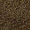 TOHO Round Seed Beads SEED-TR11-0389-2