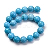 Dyed Natural Magnesite Beads Strands G-P558-A01-01A-3
