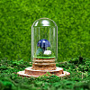 Glass Dome Cover with Natural Sodalite Mushroom Inside BOHO-PW0001-085I-1