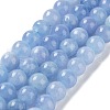 Dyed Natural Malaysia Jade Beads Strands G-G021-02C-07-2