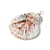3Pcs Silver Copper Wire Wrapped Natural Scallop Shell Pendants PALLOY-TA00186-4