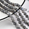 Natural Labradorite Beads Strands G-N327-03A-06-4