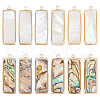SUPERFINDINGS 12Pcs 2 Styles Natural Paua Shell/Abalone Shell Pendants FIND-BC0013-35-1