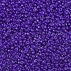 MIYUKI Round Rocailles Beads SEED-G007-RR0176-2