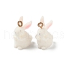 Floking Resin Pendants CRES-D306-07G-2