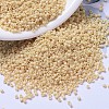 MIYUKI Delica Beads SEED-X0054-DB1131-4