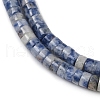 Natural Blue Spot Jasper Beads Strands G-C084-D09-01-3