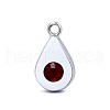 Platinum Plated Alloy Glass Rhinestone Charms PALLOY-TAC0015-01A-1