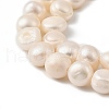 Natural Cultured Freshwater Pearl Beads Strands PEAR-P064-19K-05B-4