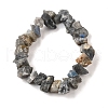 Natural Labradorite Beads Strands G-I283-F14-3