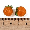 Handmade Lampwork Beads LAMP-S070-02B-4