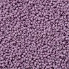 MIYUKI Delica Beads X-SEED-J020-DB0800-3
