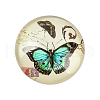 Butterfly Printed Glass Cabochons GGLA-N004-12mm-C01-1