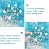 Natural Abalone Shell/Paua Shell Cabochons SSHEL-FH0001-02-3