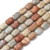 Natural Aqua Terra Jasper Beads Strands G-L624-F03-14x10mm-2