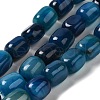 Natural Agate Beads Strands G-H295-F01-04-1