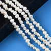 Natural Cultured Freshwater Pearl Beads Strands X1-PEAR-N014-04A-6