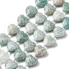 Natural Amazonite Beads Strands G-P570-E15-01-2