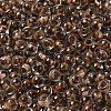 Transparent Glass Round Seed Beads SEED-B001-05A-20-3