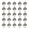 DICOSMETIC Tibetan Style Alloy Pendants FIND-DC0006-12C-1