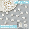  1 Strand Polished Shell Pearl Beads Strands BSHE-NB0001-32-2