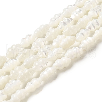 Natural Trochus Shell Beads Strands SHEL-M021-01-1