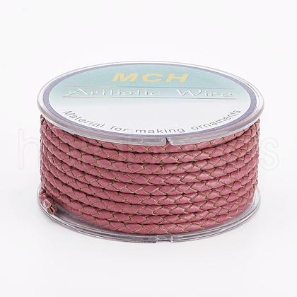 Eco-Friendly Braided Leather Cord OCOR-L035-3mm-E13-1