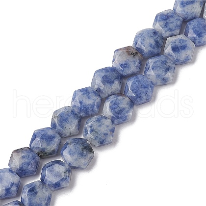 Natural Blue Spot Jasper Beads Strands G-K359-C17-01-1