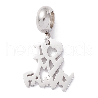 304 Stainless Steel European Dangle Charms STAS-I192-06P-1