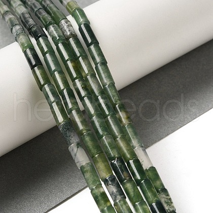 Natural Moss Agate Beads Strands G-B091-A10-01-1