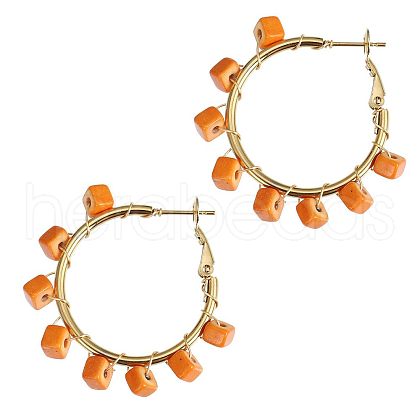 201 Stainless Steel Acrylic Hoop Earrings FS-WG443EA-12-1
