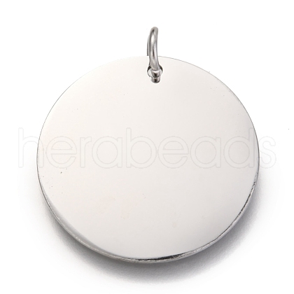 Non-Tarnish 304 Stainless Steel Charms EJEW-L238-03F-P-1
