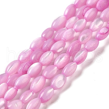 Natural Trochus Shell Beads Strands SHEL-K006-19A-1