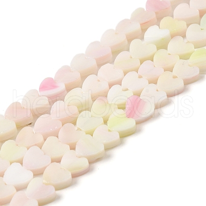 Handmade Lampwork Beads Strands LAMP-Q035-01B-1
