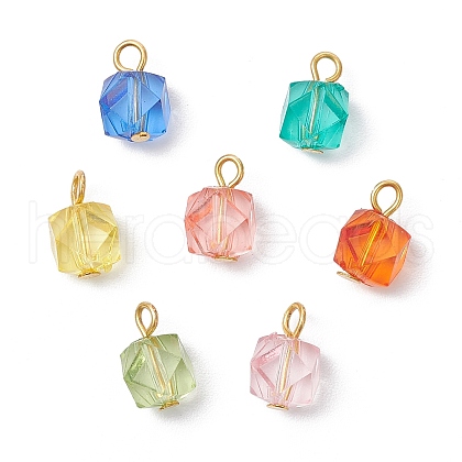 Transparent Acrylic with Iron Pendants PALLOY-JF03680-01-1