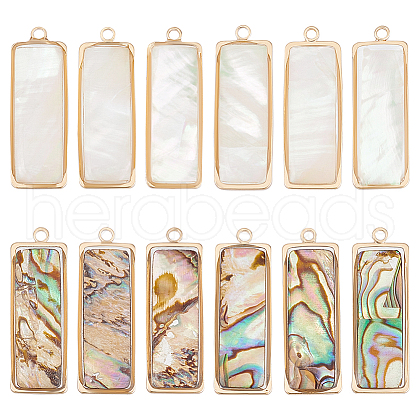 SUPERFINDINGS 12Pcs 2 Styles Natural Paua Shell/Abalone Shell Pendants FIND-BC0013-35-1