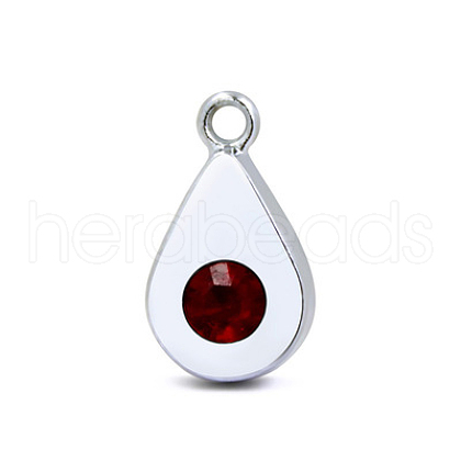 Platinum Plated Alloy Glass Rhinestone Charms PALLOY-TAC0015-01A-1