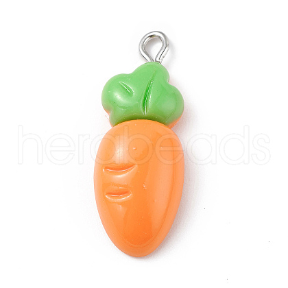 Opaque Resin Pendants RESI-D064-02P-13-1