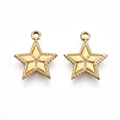 304 Stainless Steel Charms STAS-N109-65G-1