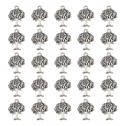 DICOSMETIC Tibetan Style Alloy Pendants FIND-DC0006-12C-1