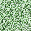 8/0 Opaque Colours Seep Glass Seed Beads SEED-F003-04B-06-3