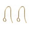 316 Surgical Stainless Steel Earring Hooks X-STAS-P162-13G-B01-1