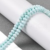 Natural Howlite Beads Strands G-H025-03C-08-2