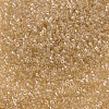 MIYUKI Delica Beads SEED-X0054-DB0101-3