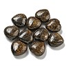 Natural Bronzite Beads G-P531-A23-01-1