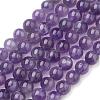 Natural Gemstone Beads Strands X-G-S036-6