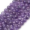 Natural Gemstone Beads Strands X-G-S036-6