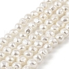 Electroplated Shell Pearl Beads Strands BSHE-M036-02C-1