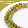 Olycraft 2 Strands Natural Peridot Beads Strands G-OC0002-75-4
